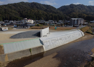 国道３０７号補助道路整備工事