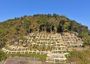 沖島地区急傾斜地崩壊対策工事