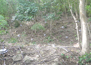 沖島地区急傾斜地崩壊対策工事