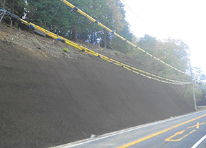 下鴨大津線 補助道路修繕工事