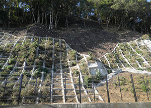 葛籠尾崎大浦線補助道路修工事