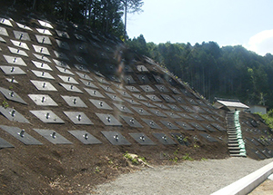 成谷補助急傾斜地崩壊対策（総流防）工事