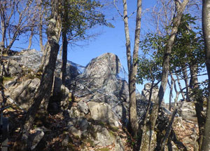 下丹生地区補助急傾斜地崩壊対策工事