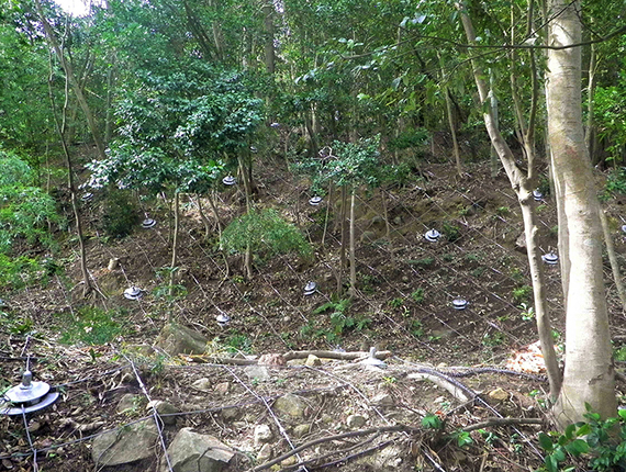 沖島地区急傾斜地崩壊対策工事・メイン１