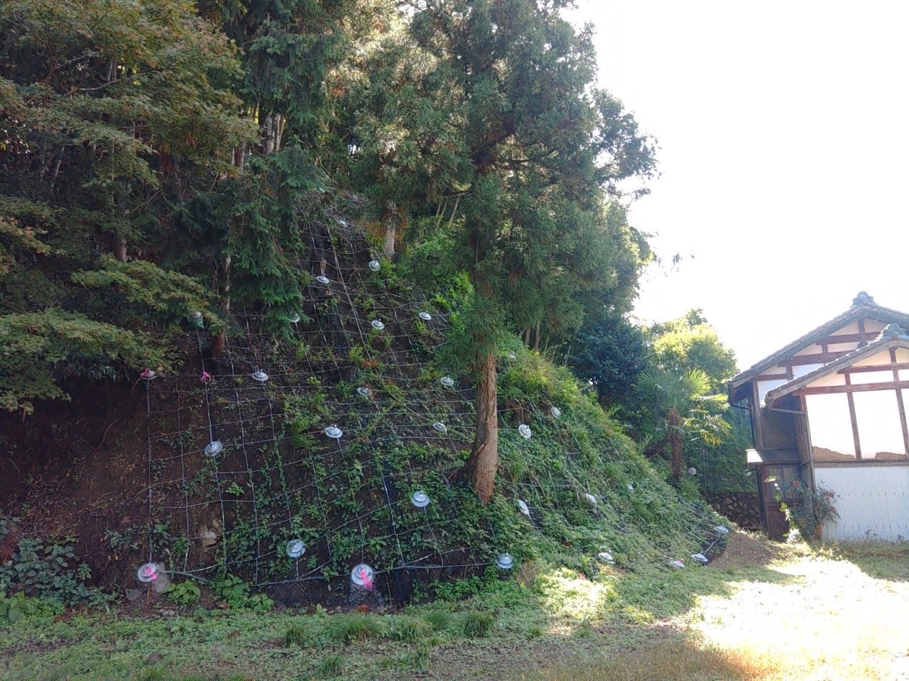 復旧治山工事・メイン１