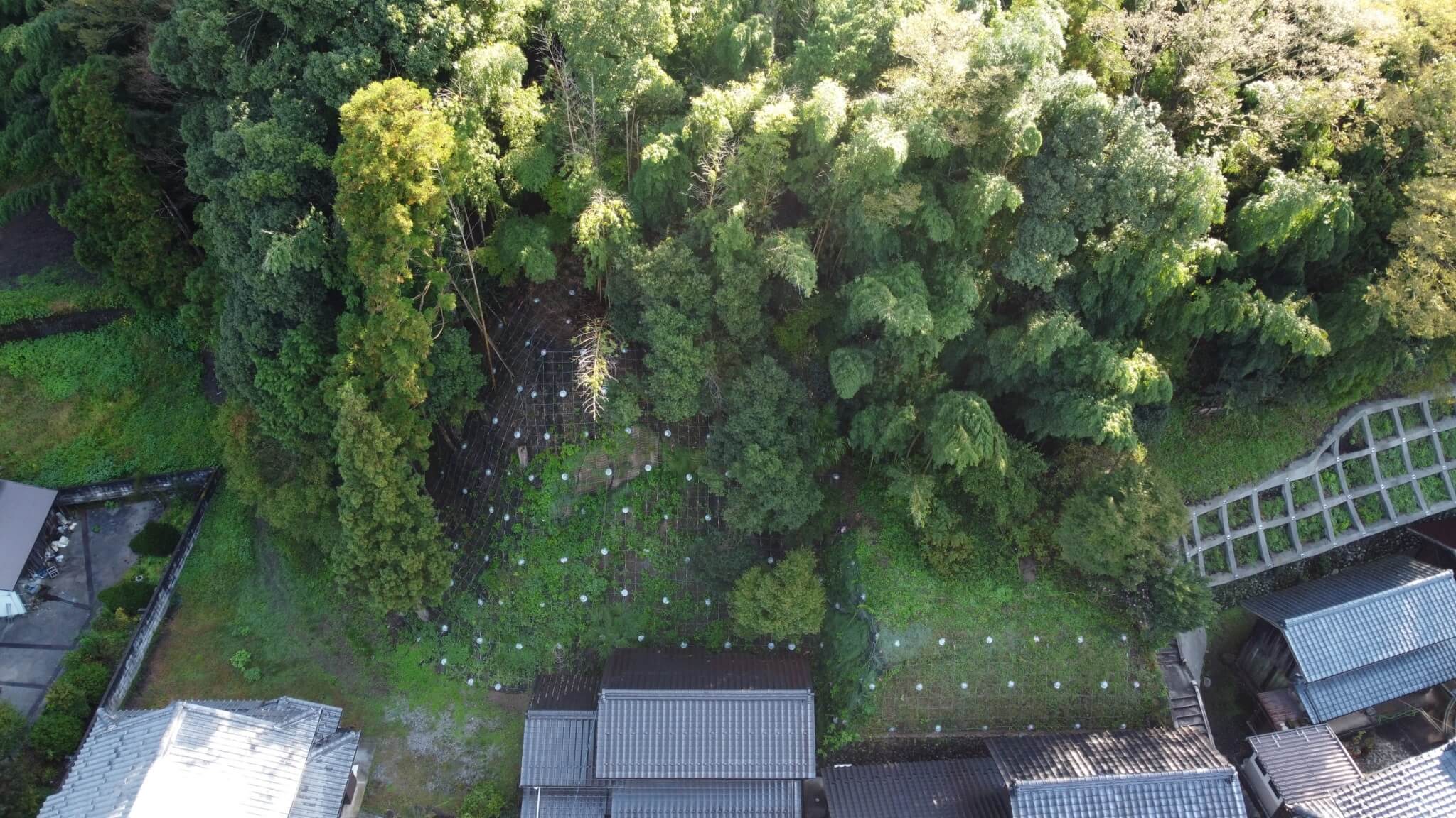 復旧治山工事・メイン３